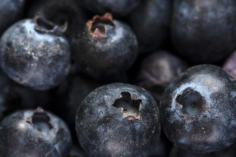 Blueberries Background Foto stock