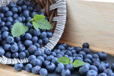 Blueberries in a basket Stock Photos