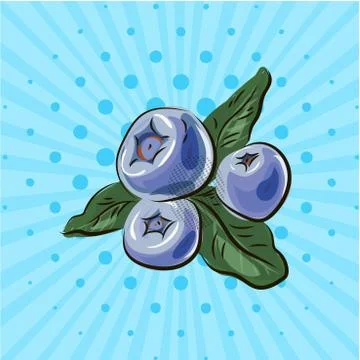 Blueberries on a blue background, lines, points. Vector illustration. Hand drawn Stock Illustration