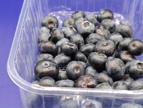 Blueberries in a box Stock Photos