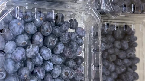Blueberries in clear plastic boxes Stock Footage 301397461