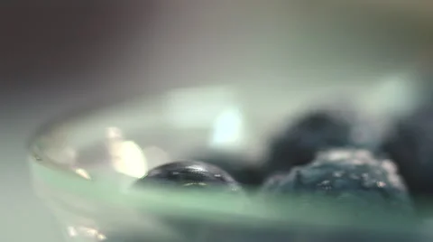 Blueberries close up Stock Footage 54144014