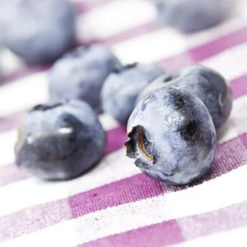 Blueberries close up Stock Photos