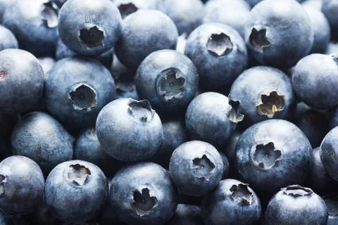 Blueberries Close Up Stock Photos