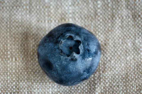 Blueberries close up Stock Photos