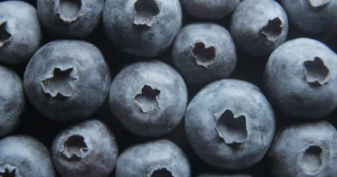 Blueberries close up studio shot over rotating Stock-Footage 324837634