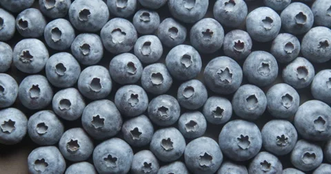 Blueberries close up studio shot over rotating Video stock 324837684