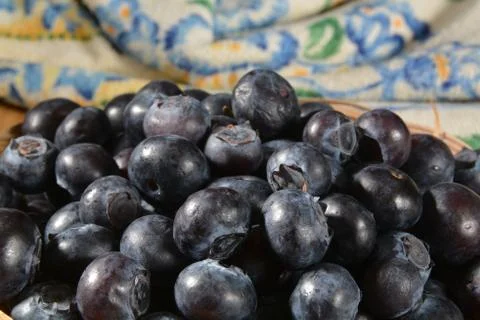 Blueberries closeup Stock Photos