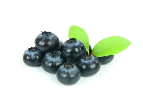 Blueberries in closeup Stock Photos