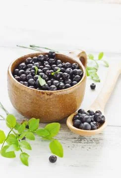 Blueberries in a cup Stock Photos