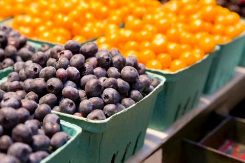Blueberries On Display Stock Photos