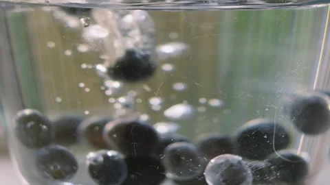 Blueberries Falling into Bowl with Bubbles Rising as They Gently Rise Back Up Stock Footage 313191516