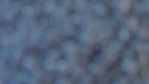 Blueberries Falling Stock Footage 269409756