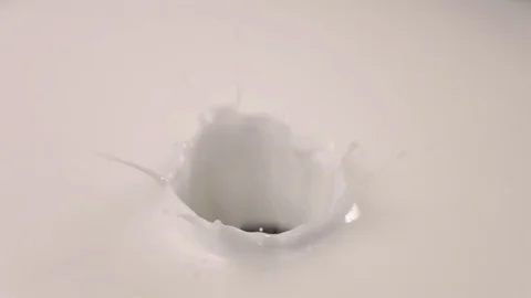 Blueberries falling into milk in slow motion. Blueberries falls into Yogurt in Stock Footage 79050719