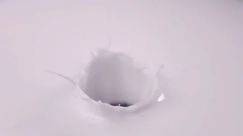 Blueberries falling into milk in slow motion. Blueberries falls into Yogurt in Stock Footage 79050720