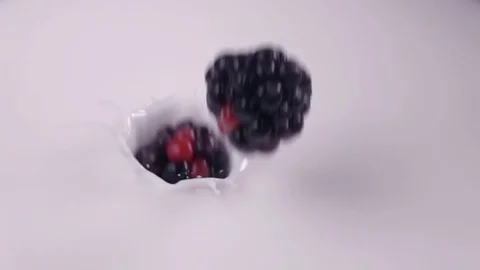Blueberries falling into milk in slow motion. Blueberries falls into Yogurt in Stock Footage 79050740