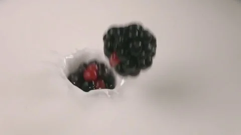 Blueberries falling into milk in slow motion. Blueberries falls into Yogurt in Stock Footage 79050747