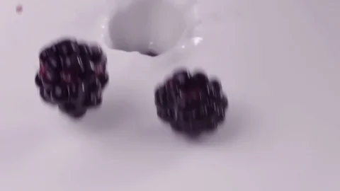 Blueberries falling into milk in slow motion. Blueberries falls into Yogurt in Stock Footage 79050762