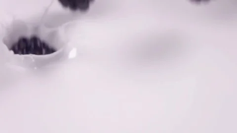 Blueberries falling into milk in slow motion. Blueberries falls into Yogurt in Stock Footage 79050772