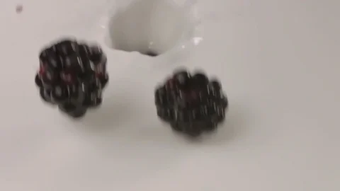 Blueberries falling into milk in slow motion. Blueberries falls into Yogurt in Stock Footage 79050773