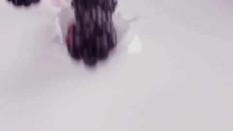 Blueberries falling into milk in slow motion. Blueberries falls into Yogurt in Stock Footage 79050792