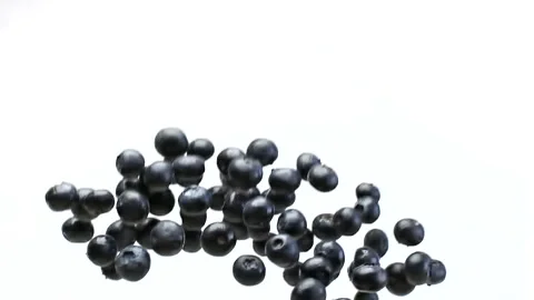 A Blueberries Falling in Slow Motion on a White Background Stock Footage 148075151
