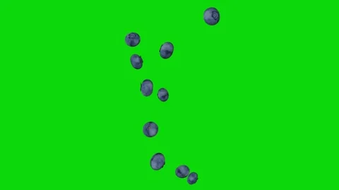 Blueberries falling vertically in stream on green screen Video stock 331766269