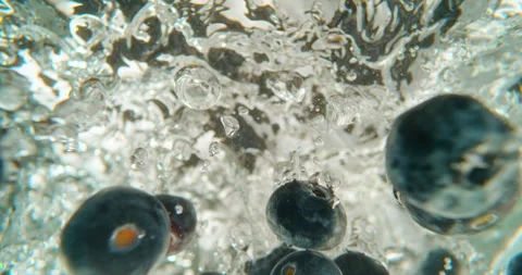 Blueberries falling into water Video stock 311827444