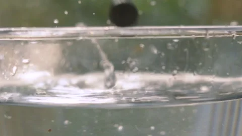 Blueberries Falling into Water in Slow Motion with Evening Sunlight Behind as Stock Footage 313191658