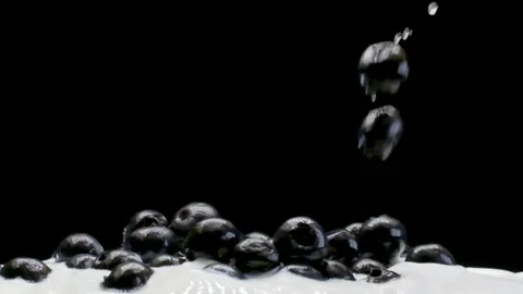 A Blueberries Falling into white yogurt in Slow Motion on a Black Background Stock Footage 148075104