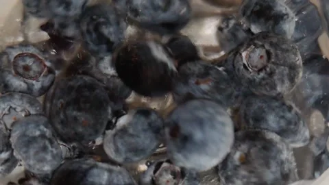 Blueberries float under streams of water Stock Footage 318799906