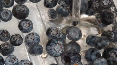 Blueberries float in water with bubbles Stock Footage 318799909