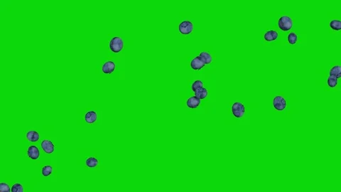 Blueberries floating across screen on green screen background Stock Footage 331766292
