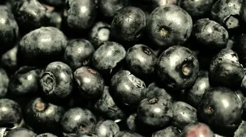 Blueberries Stock Footage