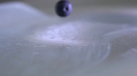 Blueberries 스톡 동영상 11585514