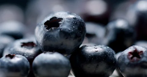 Blueberries 動画素材 104558908