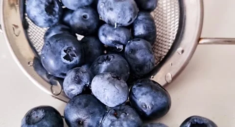 Blueberries Stock Footage 220105776