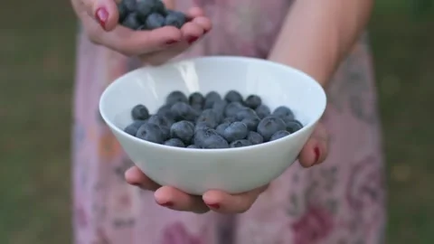 Blueberries Stock Footage 249617849