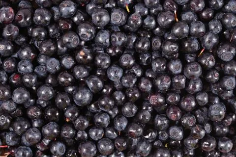 Blueberries fruit as background texture Stock Photos
