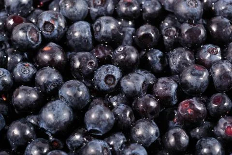Blueberries fruit close up as background Stock Photos