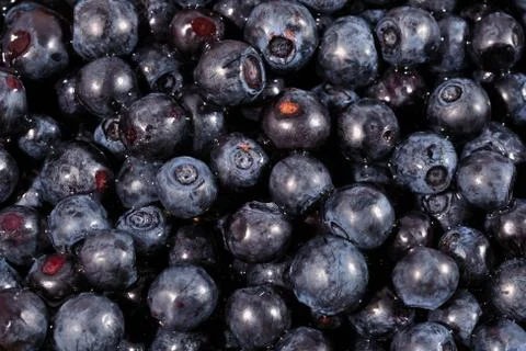 Blueberries fruit close up as background. Stock Photos