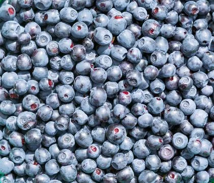 Blueberries fruit. Stock Photos