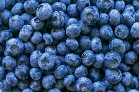 Blueberries fruit vitamin fresh Stock Photos