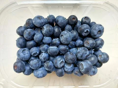 Blueberries Gathered in a Container Ready for Use in Various Delicious Recipe Stock Photos