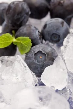 Blueberries on ice Stock Photos