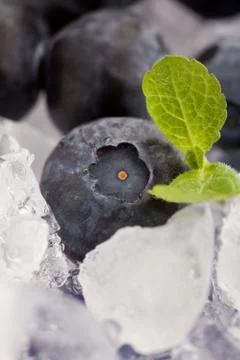 Blueberries on ice Foto stock