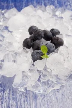Blueberries on ice Stock Photos