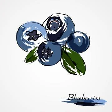 Blueberries Stock Illustration