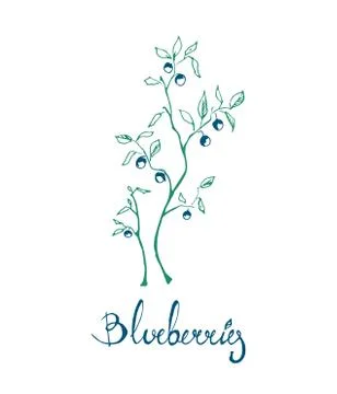 Blueberries Stock Illustration
