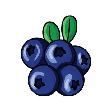 Blueberries Stock Illustration